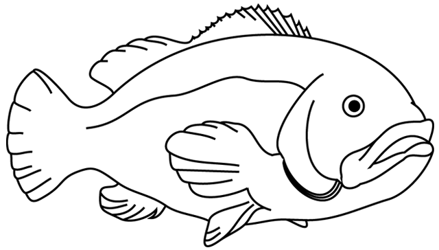 着色页: 鱼 (动物) #17124 - 免费可打印着色页