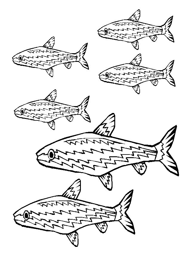 着色页: 鱼 (动物) #17179 - 免费可打印着色页