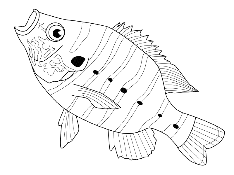 着色页: 鱼 (动物) #17201 - 免费可打印着色页
