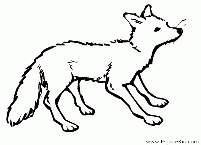 着色页: 狐狸 (动物) #14963 - 免费可打印着色页