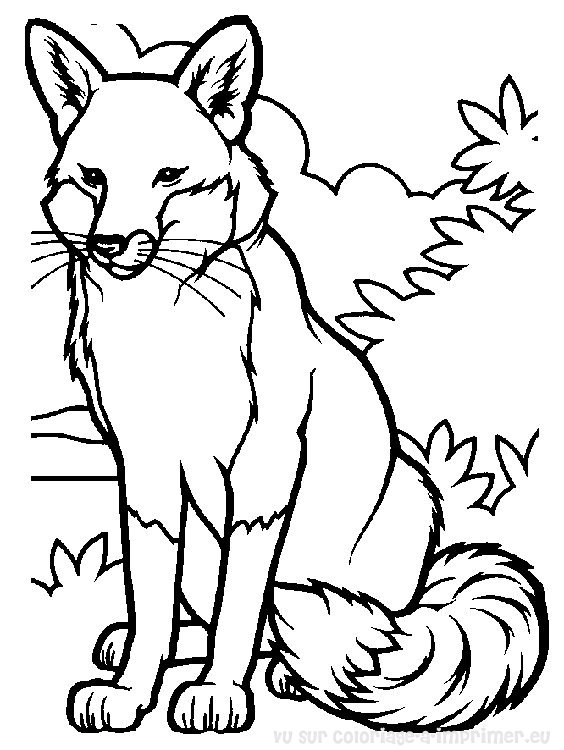 着色页: 狐狸 (动物) #14965 - 免费可打印着色页