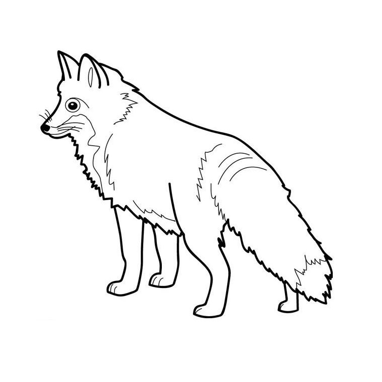着色页: 狐狸 (动物) #14967 - 免费可打印着色页