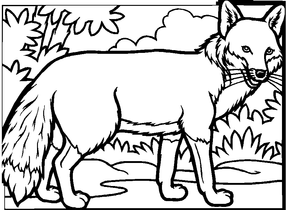 着色页: 狐狸 (动物) #14977 - 免费可打印着色页