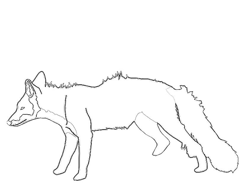 着色页: 狐狸 (动物) #15032 - 免费可打印着色页