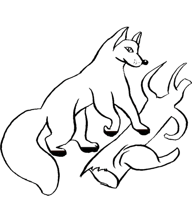 着色页: 狐狸 (动物) #15064 - 免费可打印着色页