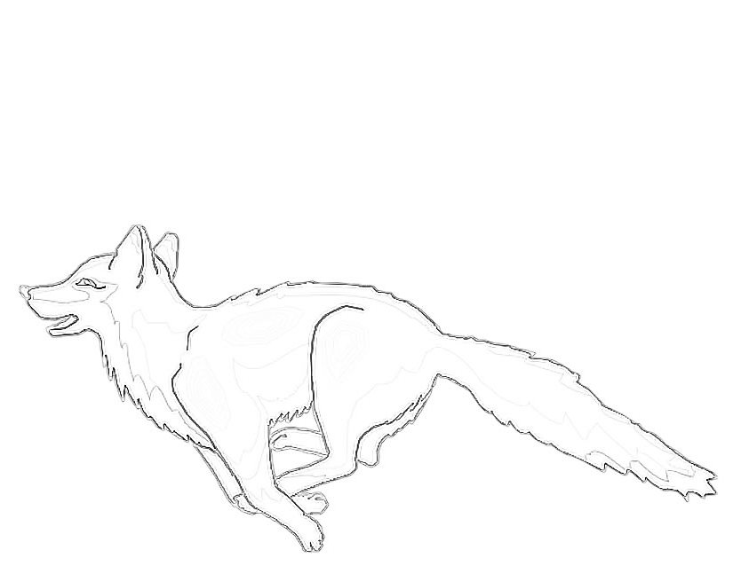 着色页: 狐狸 (动物) #15075 - 免费可打印着色页