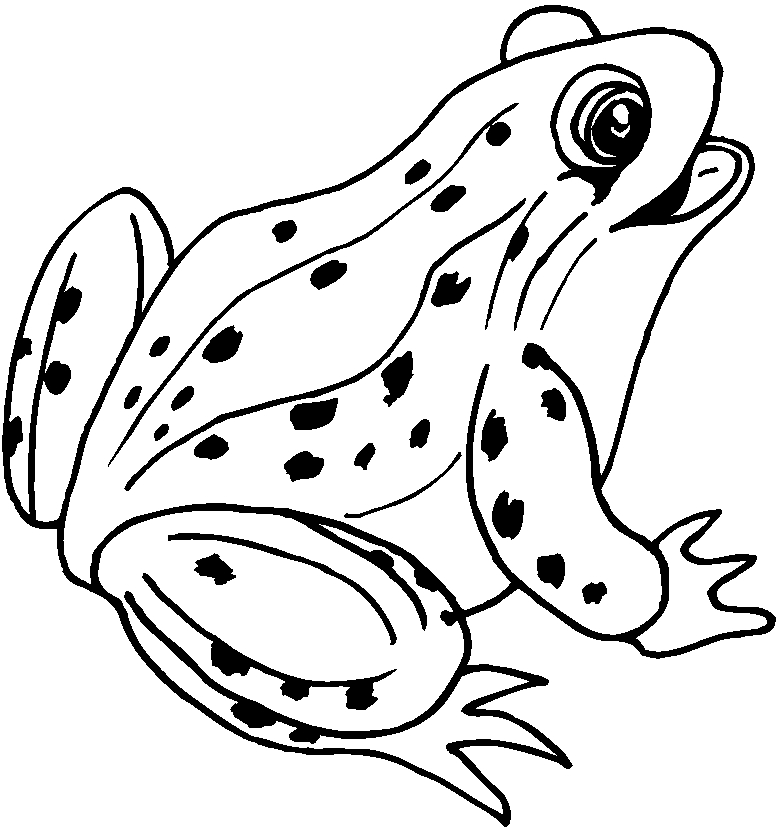 着色页: 青蛙 (动物) #7570 - 免费可打印着色页