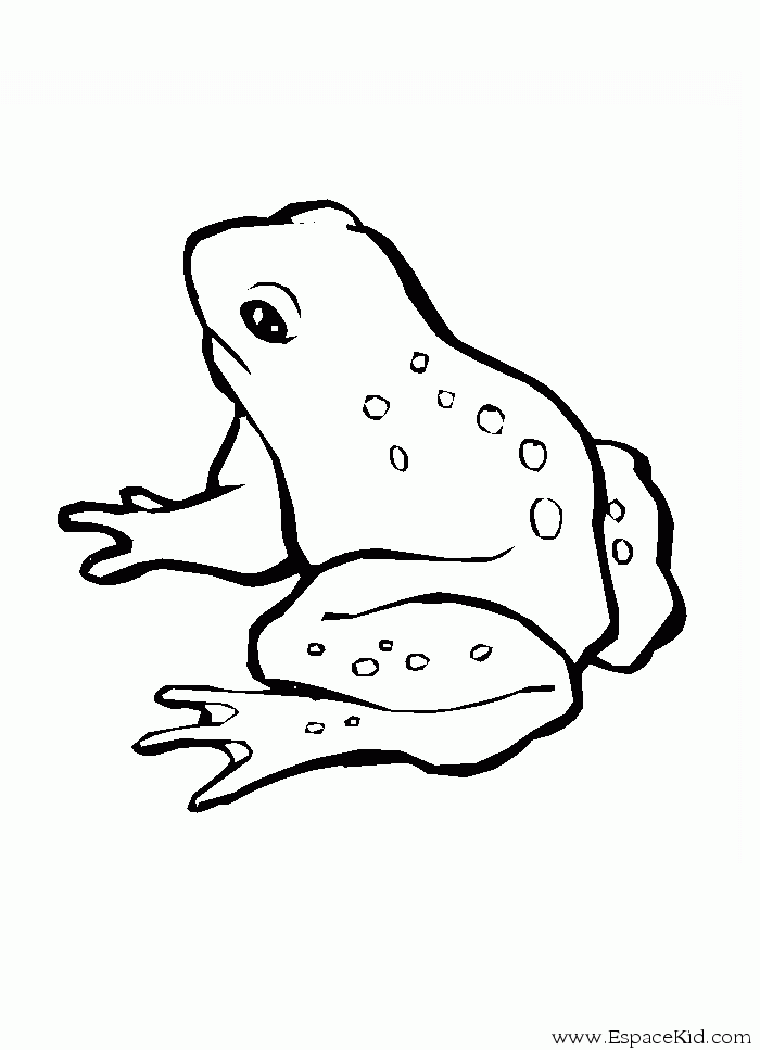 着色页: 青蛙 (动物) #7592 - 免费可打印着色页