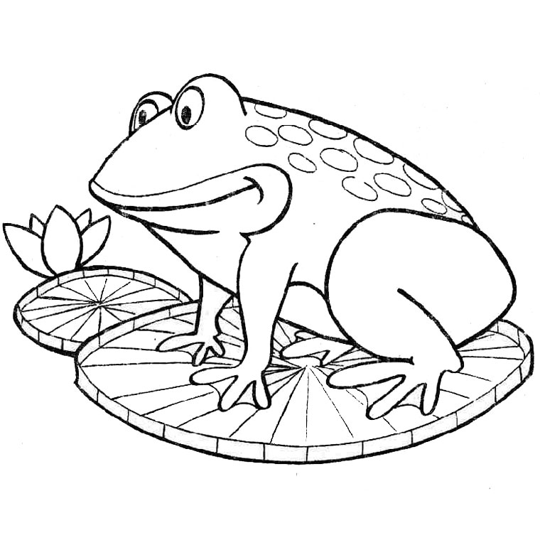 着色页: 青蛙 (动物) #7594 - 免费可打印着色页