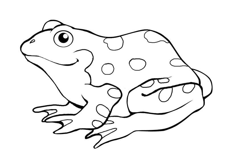 着色页: 青蛙 (动物) #7605 - 免费可打印着色页