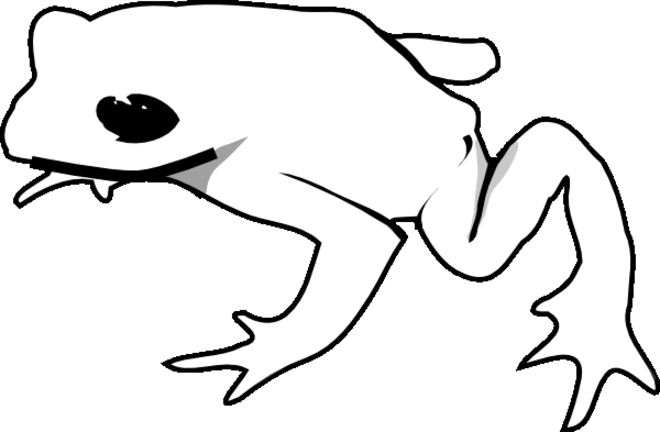 着色页: 青蛙 (动物) #7614 - 免费可打印着色页
