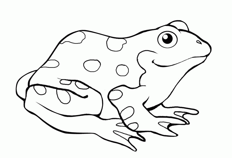 着色页: 青蛙 (动物) #7615 - 免费可打印着色页