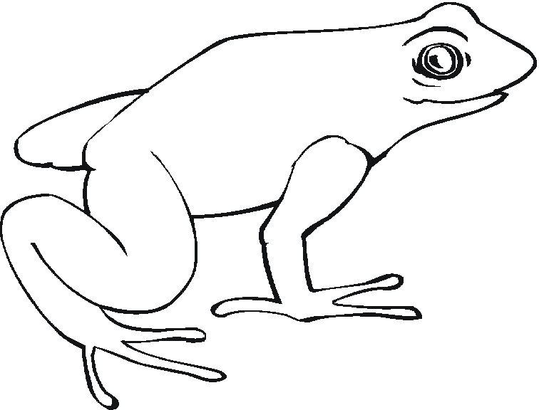 着色页: 青蛙 (动物) #7629 - 免费可打印着色页