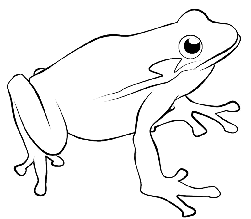着色页: 青蛙 (动物) #7642 - 免费可打印着色页