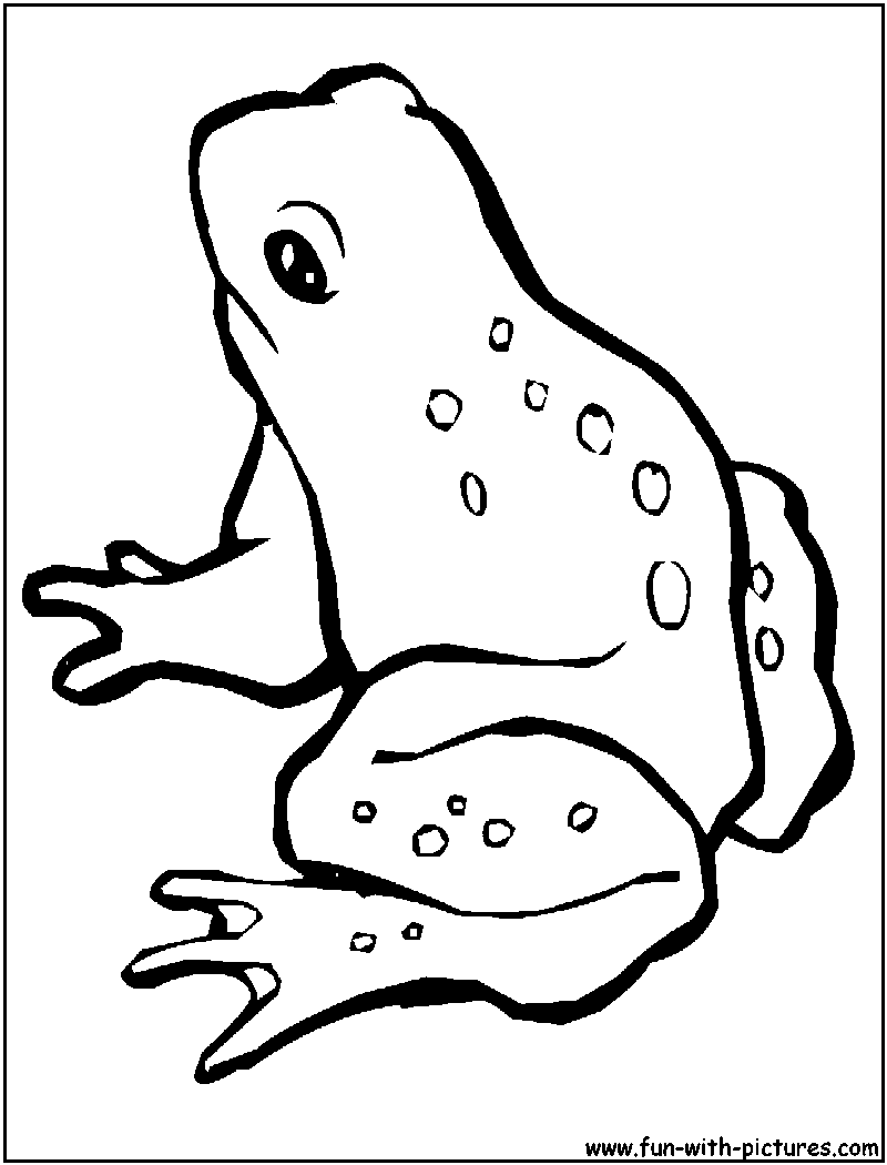着色页: 青蛙 (动物) #7663 - 免费可打印着色页