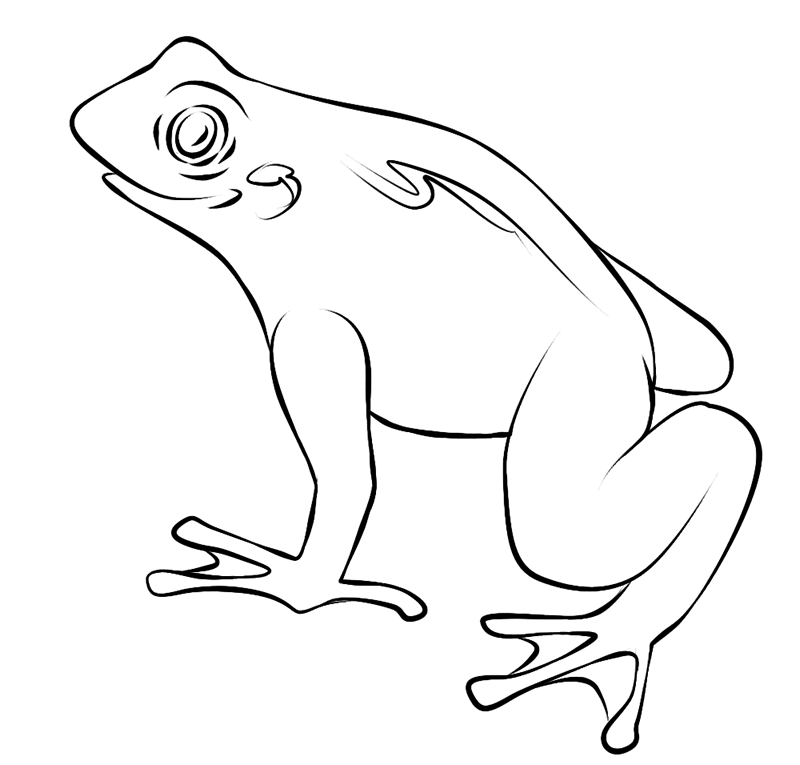 着色页: 青蛙 (动物) #7665 - 免费可打印着色页