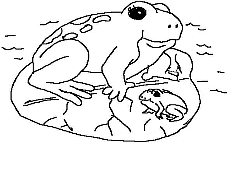着色页: 青蛙 (动物) #7715 - 免费可打印着色页