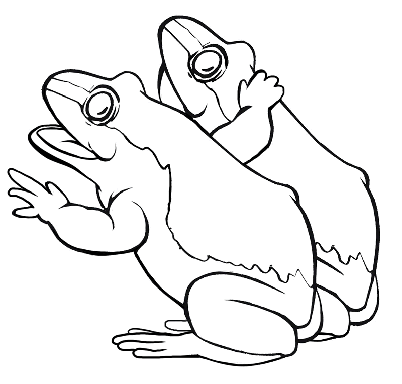 着色页: 青蛙 (动物) #7717 - 免费可打印着色页