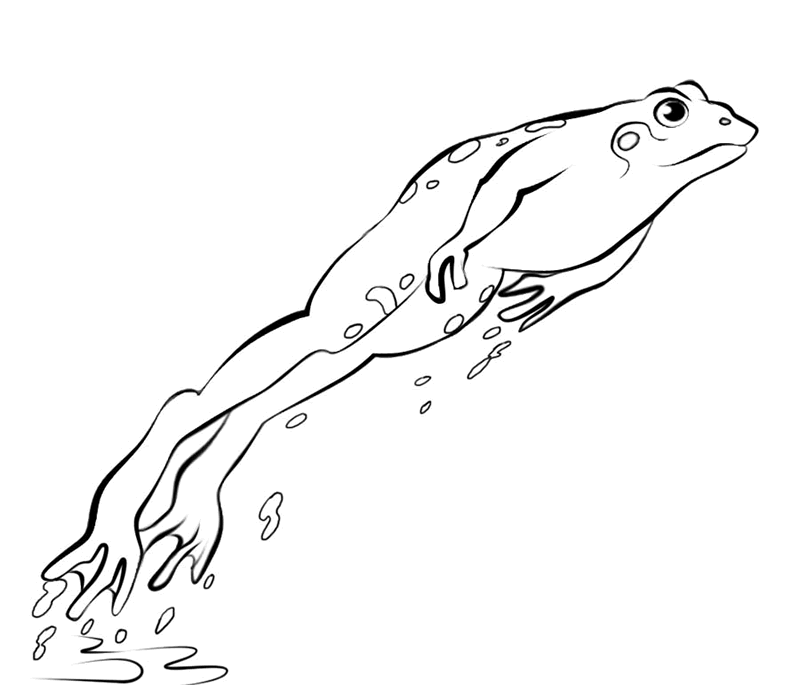 着色页: 青蛙 (动物) #7718 - 免费可打印着色页