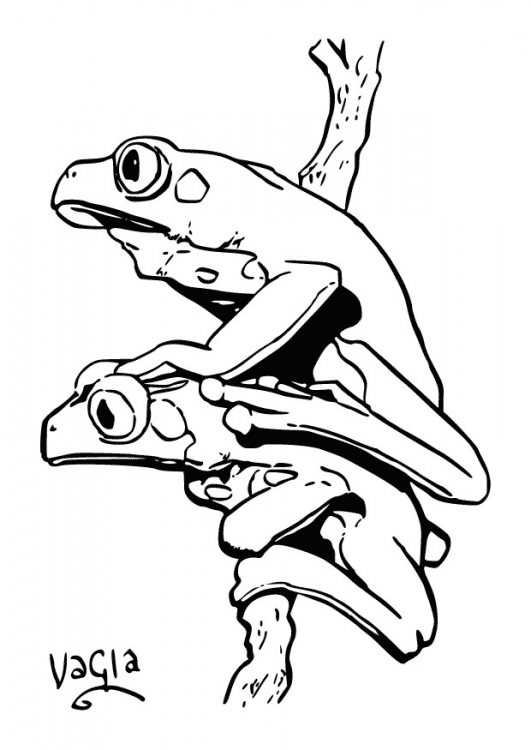着色页: 青蛙 (动物) #7720 - 免费可打印着色页