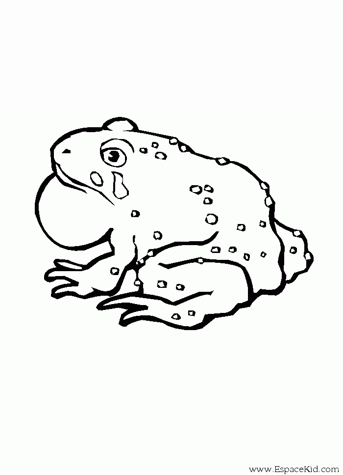 着色页: 青蛙 (动物) #7746 - 免费可打印着色页