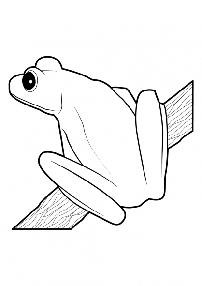 着色页: 青蛙 (动物) #7756 - 免费可打印着色页