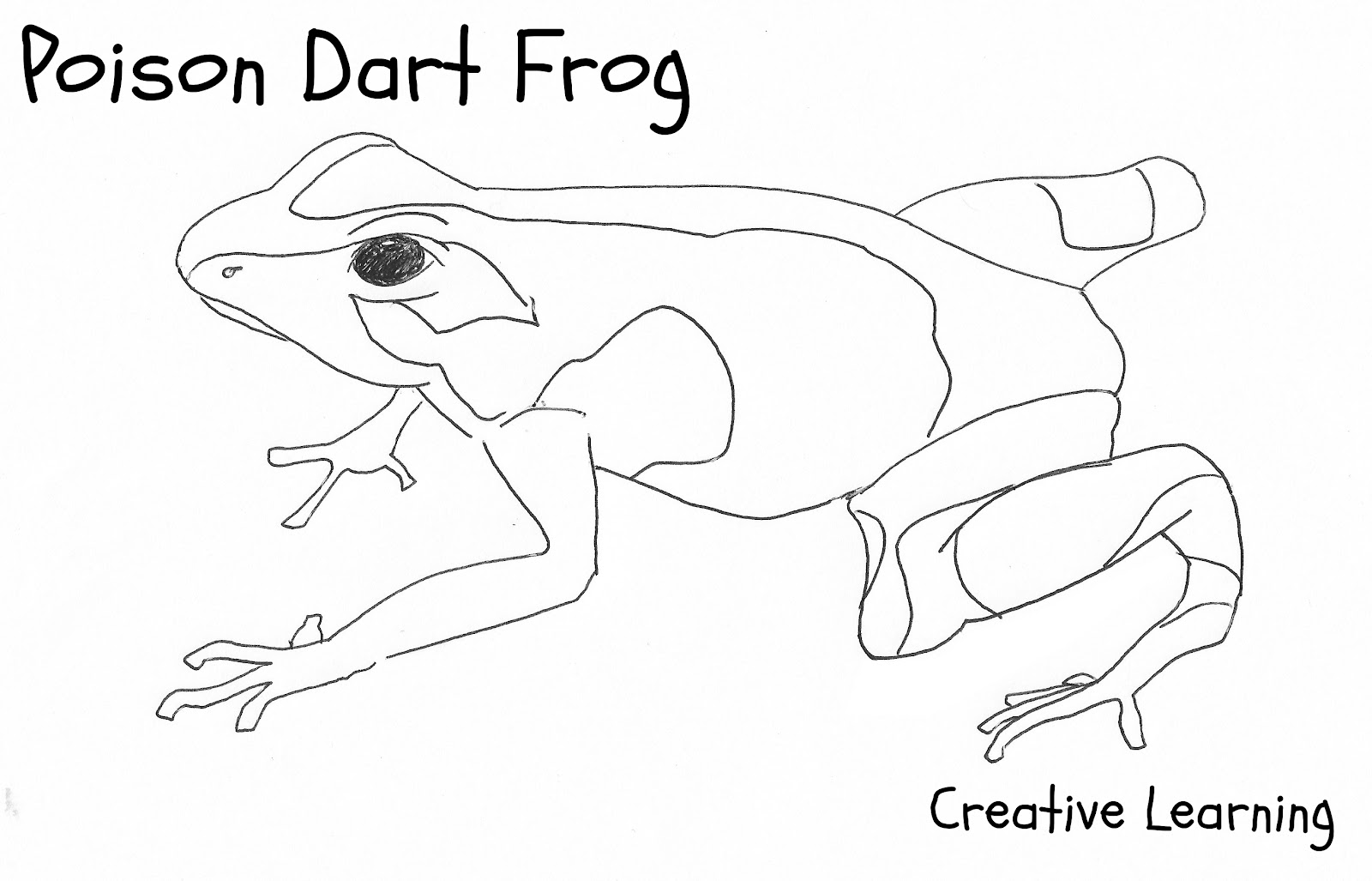 着色页: 青蛙 (动物) #7757 - 免费可打印着色页