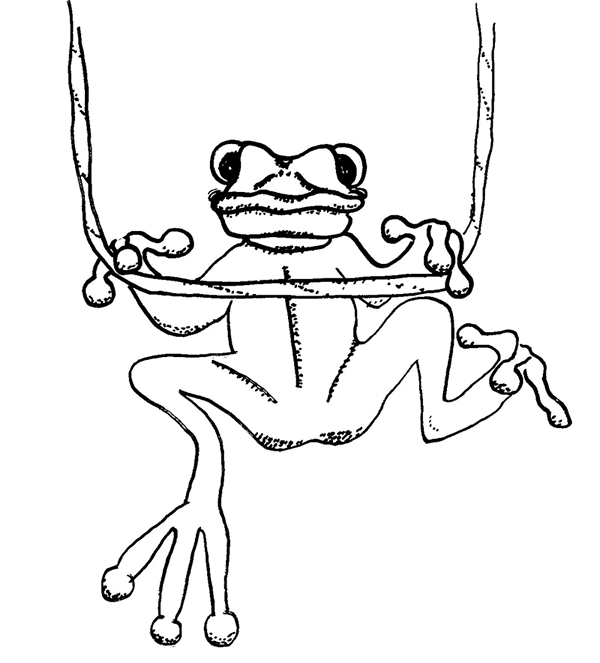 着色页: 青蛙 (动物) #7763 - 免费可打印着色页