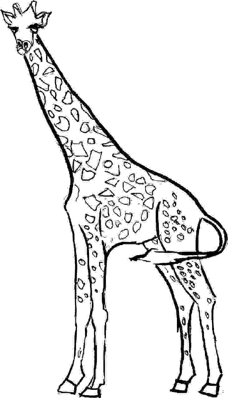 着色页: 长颈鹿 (动物) #7219 - 免费可打印着色页