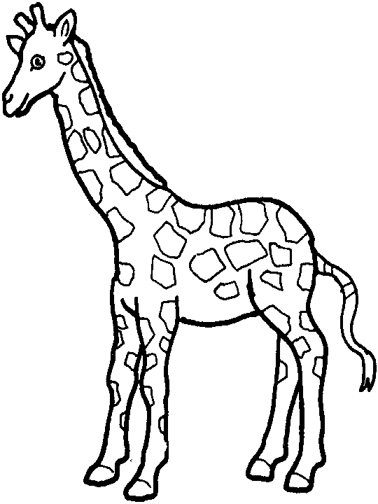 着色页: 长颈鹿 (动物) #7225 - 免费可打印着色页