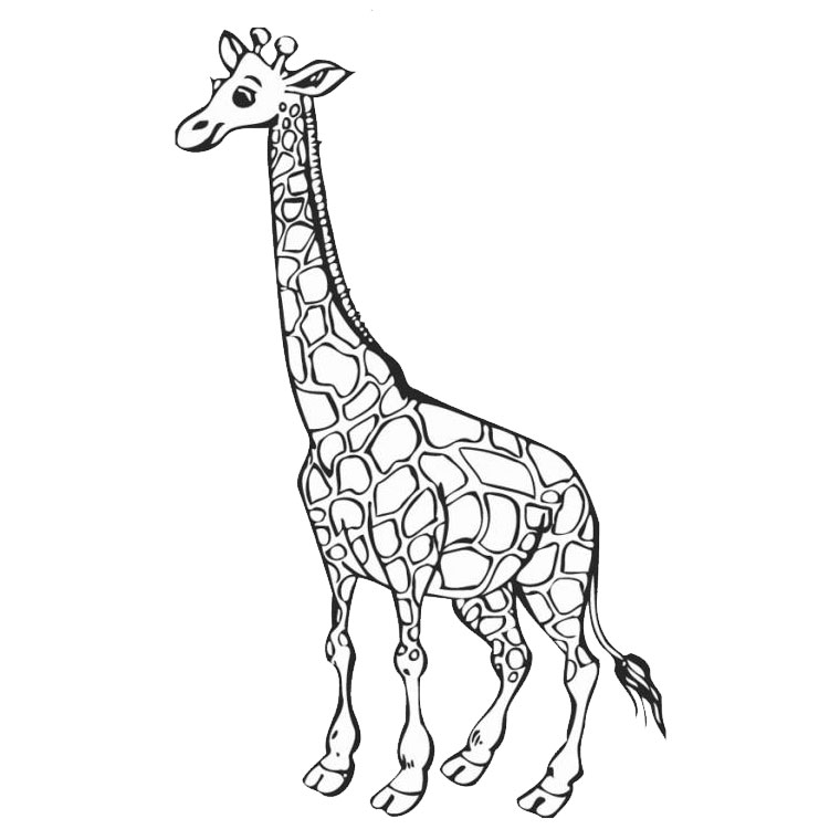 着色页: 长颈鹿 (动物) #7226 - 免费可打印着色页