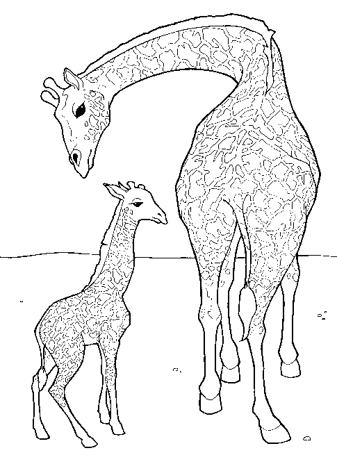 着色页: 长颈鹿 (动物) #7238 - 免费可打印着色页