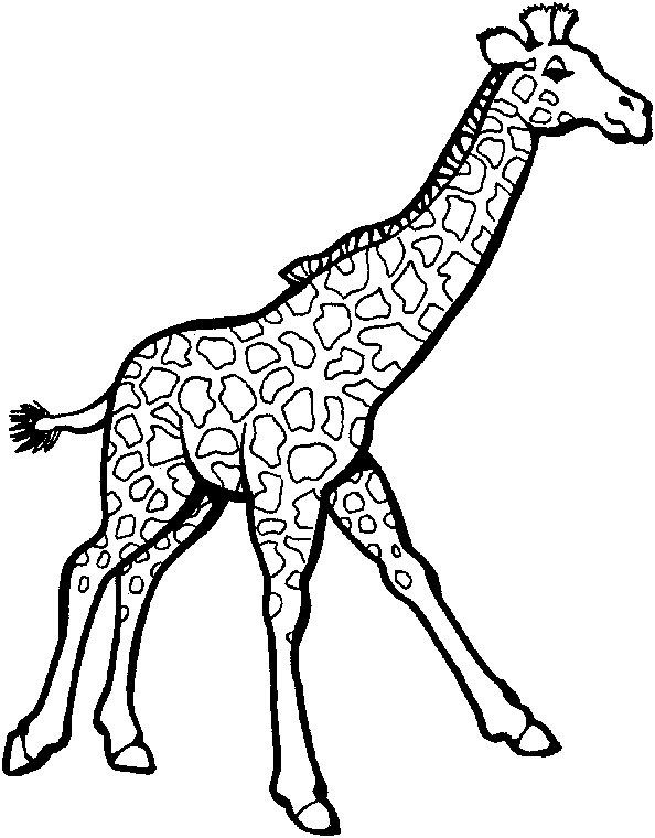 着色页: 长颈鹿 (动物) #7246 - 免费可打印着色页