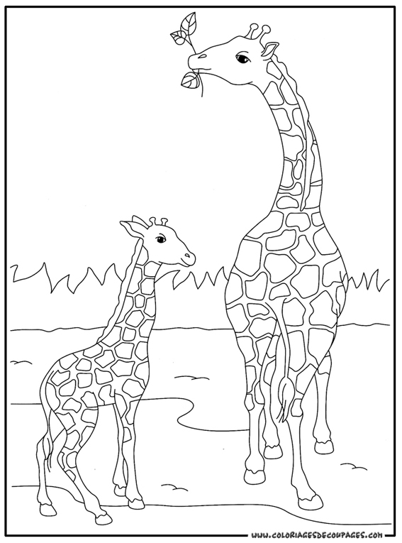 着色页: 长颈鹿 (动物) #7248 - 免费可打印着色页