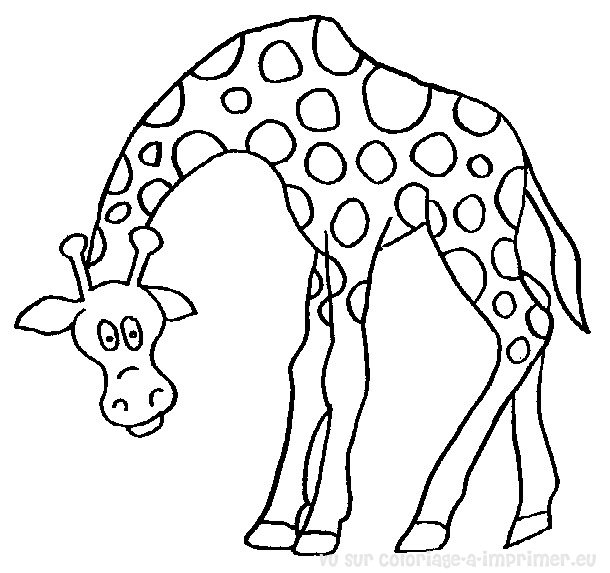 着色页: 长颈鹿 (动物) #7250 - 免费可打印着色页