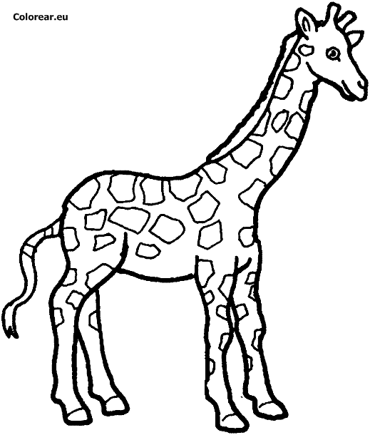 着色页: 长颈鹿 (动物) #7261 - 免费可打印着色页