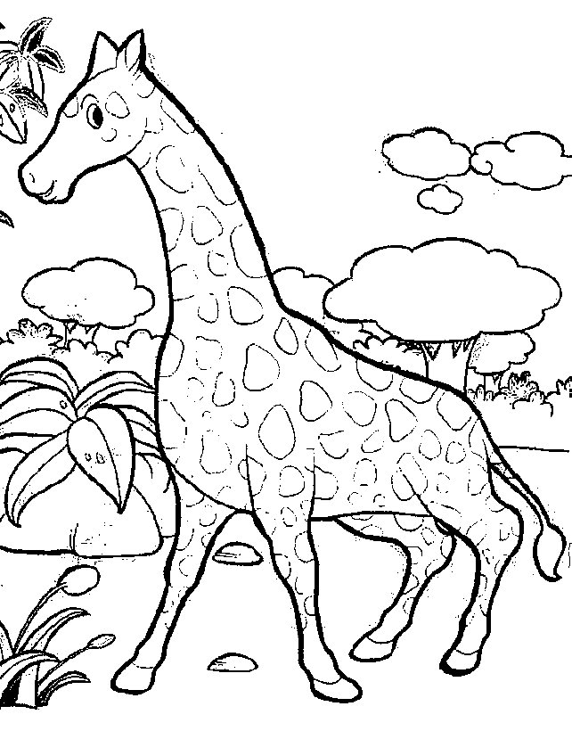 着色页: 长颈鹿 (动物) #7262 - 免费可打印着色页