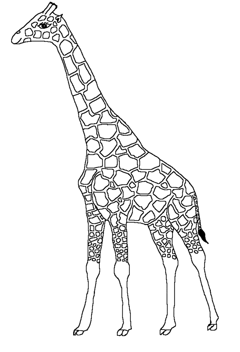 着色页: 长颈鹿 (动物) #7275 - 免费可打印着色页