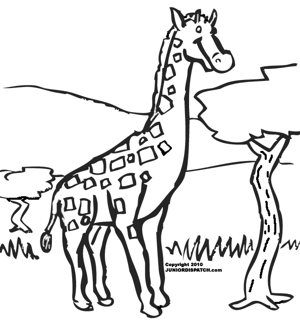 着色页: 长颈鹿 (动物) #7287 - 免费可打印着色页