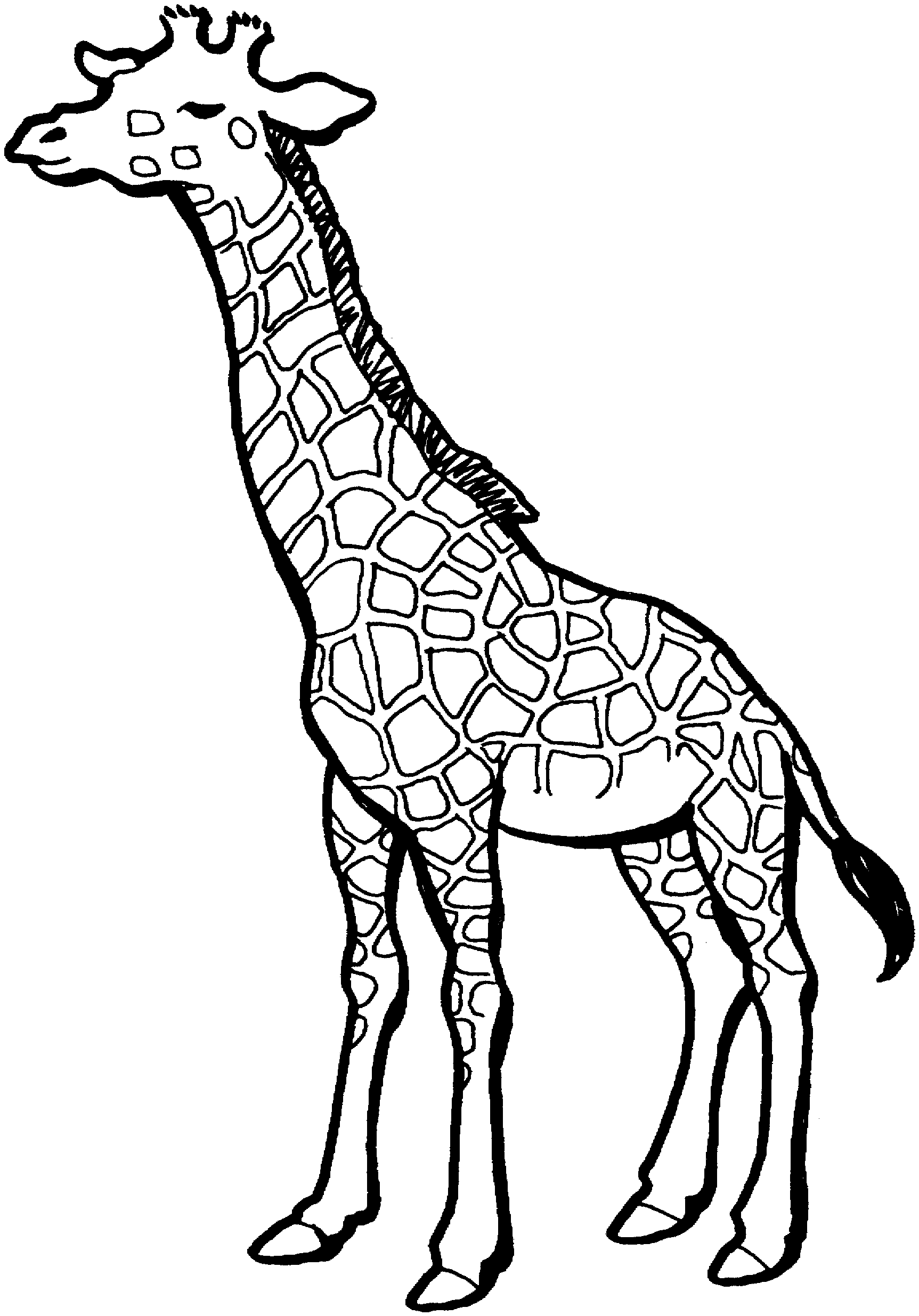 着色页: 长颈鹿 (动物) #7291 - 免费可打印着色页