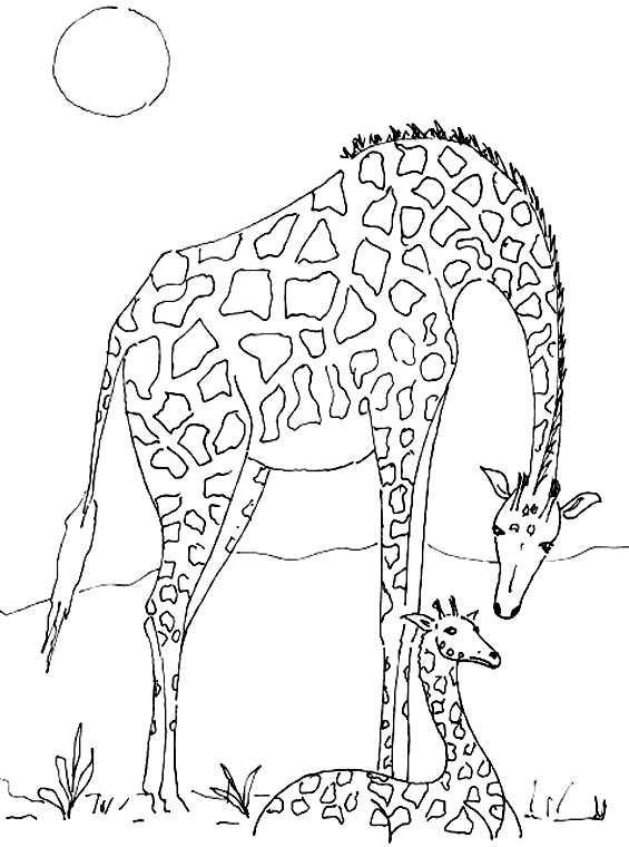 着色页: 长颈鹿 (动物) #7302 - 免费可打印着色页