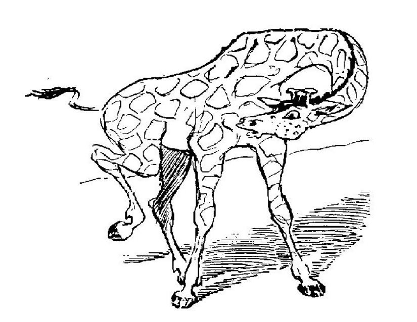 着色页: 长颈鹿 (动物) #7317 - 免费可打印着色页