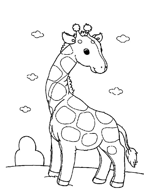 着色页: 长颈鹿 (动物) #7332 - 免费可打印着色页