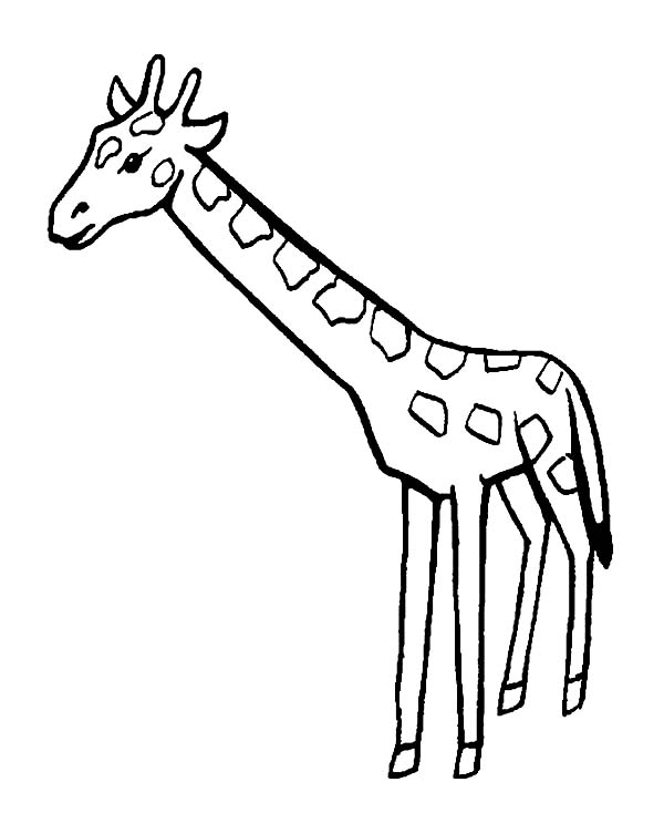 着色页: 长颈鹿 (动物) #7351 - 免费可打印着色页