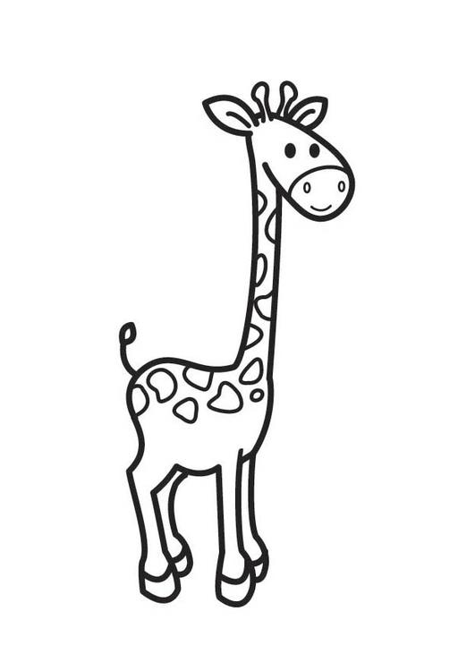 着色页: 长颈鹿 (动物) #7357 - 免费可打印着色页
