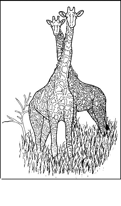 着色页: 长颈鹿 (动物) #7365 - 免费可打印着色页