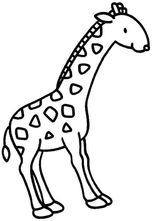 着色页: 长颈鹿 (动物) #7367 - 免费可打印着色页