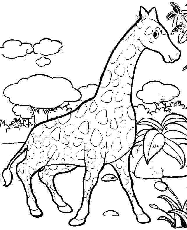 着色页: 长颈鹿 (动物) #7380 - 免费可打印着色页