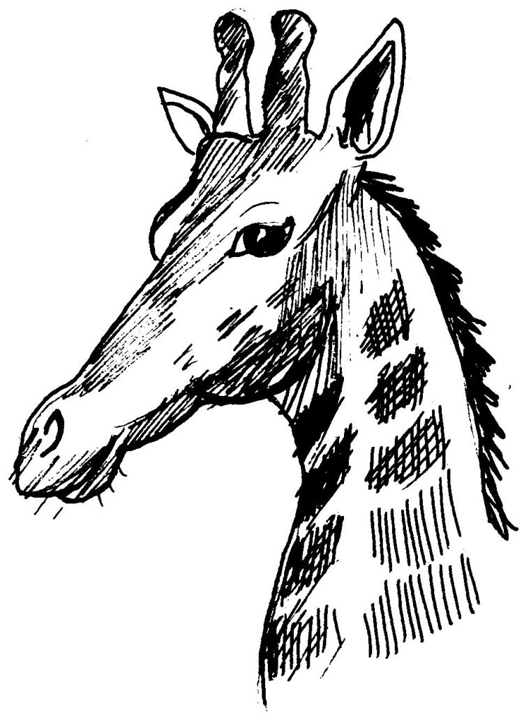 着色页: 长颈鹿 (动物) #7389 - 免费可打印着色页