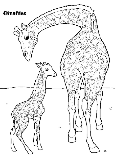 着色页: 长颈鹿 (动物) #7413 - 免费可打印着色页